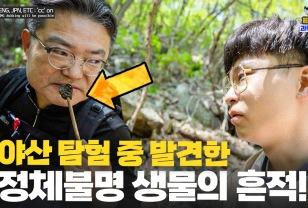 [지식인미나니X국립생태원] 산속 헤치며 멸종위기 동물의 흔적을 쫒는 사람들 이미지