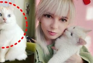 "너무 보고싶었어"...반려묘를 부활시킨 여성, 모두를 놀라게 한 사건의 전말 이미지