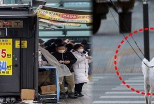 "1등, 2등 연달아서?"...강아지가 가져온 행운, 복권 1등에 당첨된 특별한 사연! 이미지