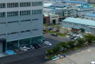 '상폐 벼랑끝' 금양, 시간 벌었다...거래소, 1년 개선기간 부여 이미지