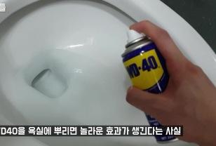 WD40을 변기에 넣어보세요! 제조사가 직접 추천하는 생활에 활용하는 신박한 꿀팁 이미지