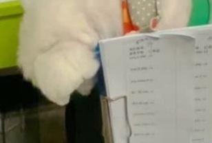 "오늘 산책 못 간다고 했더니 강아지가 실망했어요" 이미지