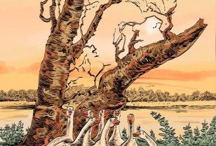 늑대 1마리가 보인다면 신의 눈썰미 이미지