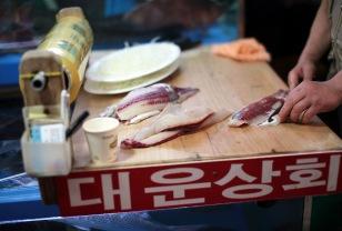 “그땐 하루 600도 벌었는데”… 지금은 회 썰며 이런 말 합니다 이미지