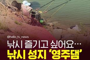 “영주댐 낚시, 끝장난다?” 이미지