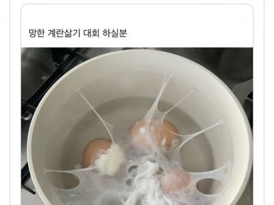 망한 계란삶기 대회ㅋㅋ