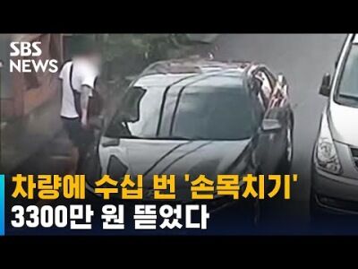 '손목치기' 51회로 3300만 원 뜯었다…황당 보험사기