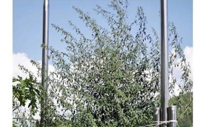 잡초들을 직접 심어서 키워본 사람 이미지