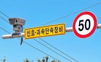 집에 있었는데 '과태료 내세요'.. 당하면 멘붕 100%라는 '이것' 정체 이미지