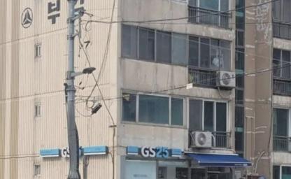"빌라 1층에 저게 뭐지?" 두 눈을 의심케한 수원 '빌트인 편의점' 이미지