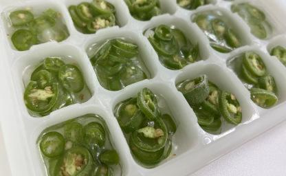 청양고추 '이렇게' 보관하세요! 다 먹을 때까지 신선함 그대로~ 이미지