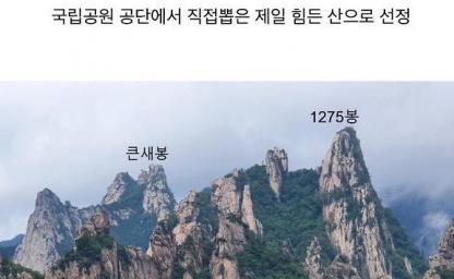 한국에서 제일 힘든 등산 코스 이미지