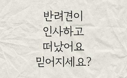 반려견이 인사하고 떠났어요, 믿어지세요? 이미지