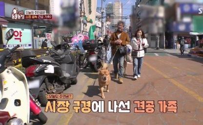 무인도 촬영갔다가 고생하는 동물농장 제작진 이미지