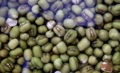 100가지 독 푸는 밥 한 그릇! 녹두 넣고 밥 지었더니 생긴 놀라운 효과 5가지! 이미지