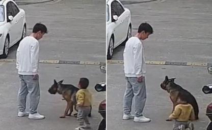 혼나는 중인 강아지 보더니 무릎 꿇은 아이 "용서해줄 수 있나요?" 이미지