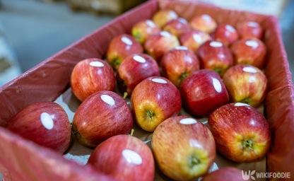 사과 말고도 있다… 아침에 진짜 챙겨야 할 음식 3가지 이미지