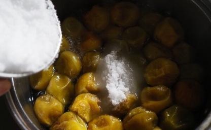 매실 담글 때 ''이것'' 꼭 넣으세요, 마실때마다 혈관 청소가 됩니다. 이미지