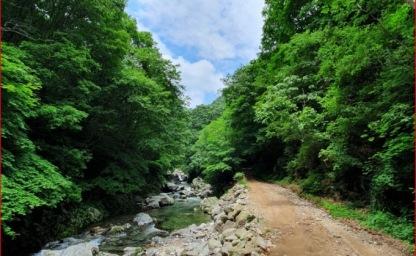 "산림청 걷기 좋은 길 전국 1위" 이 여름, 가장 시원한 4.2km 트레킹 명소 이미지
