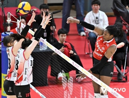 헤드라인 썸네일