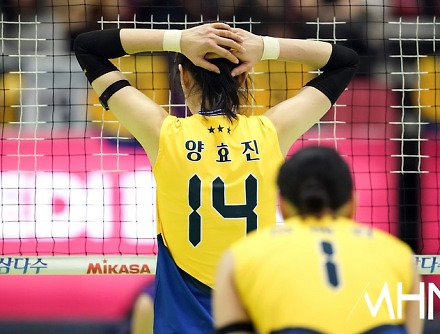 헤드라인 썸네일