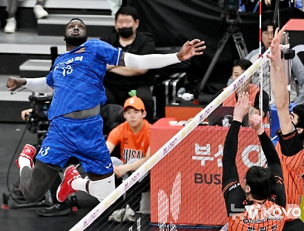 헤드라인 썸네일