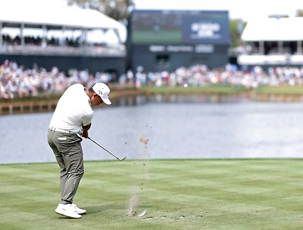 헤드라인 썸네일