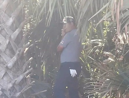 헤드라인 썸네일