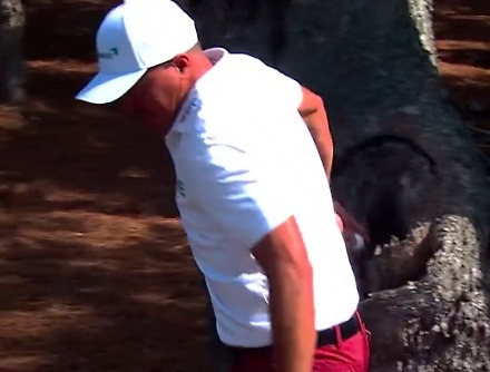 헤드라인 썸네일