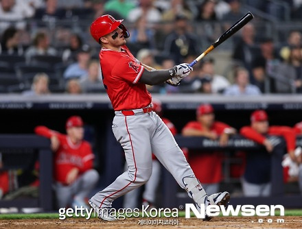 헤드라인 썸네일