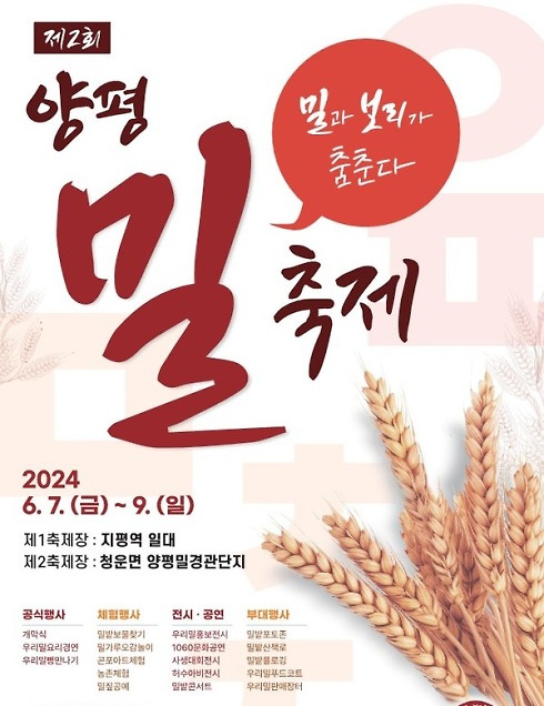 양평에서 펼쳐지는 황금밀밭의 향연, '제2회 양평 밀 축제' 7일 개막
