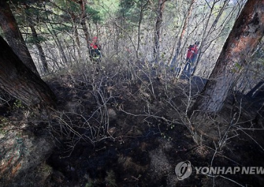 [강원산불] 잦아든 바람에 재발화 '잠잠'..8천명 밤샘 뒷불 감시