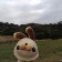 프로필 사진