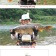 프로필 사진