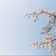 프로필 사진