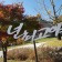 프로필 사진