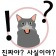 프로필 사진
