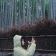 프로필 사진