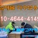 프로필 사진