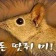 프로필 사진
