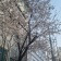 프로필 사진