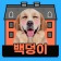 프로필 사진