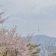 프로필 사진