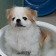 프로필 사진