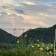 프로필 사진