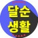 프로필 사진