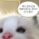 프로필 사진