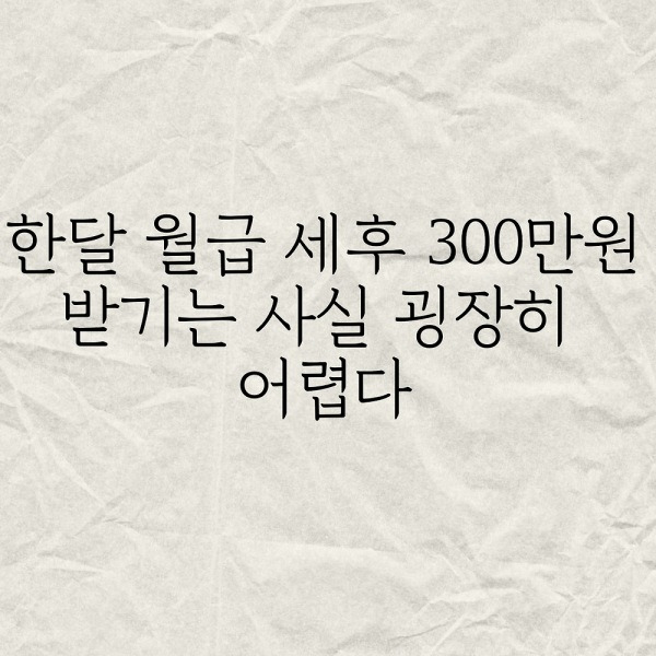 한달 월급 세후 300만원 받기는 사실 굉장히 어렵다