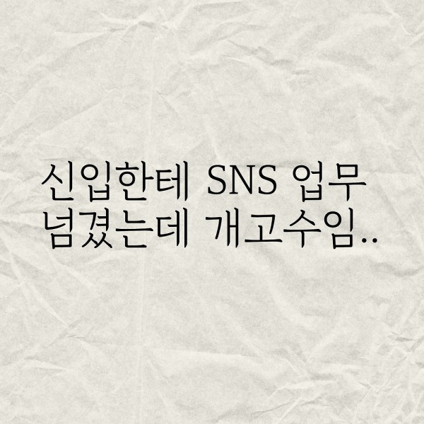 신입한테 SNS 업무 넘겼는데 개고수임..