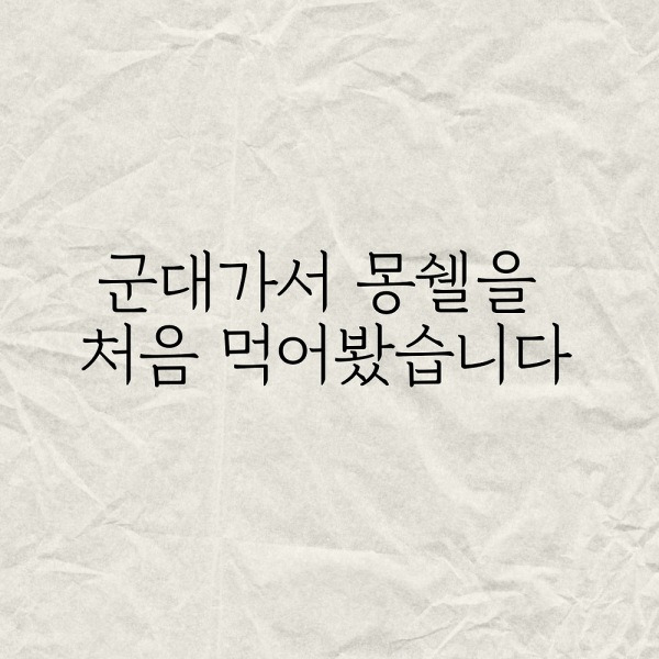 군대가서 몽쉘을 처음 먹어봤습니다